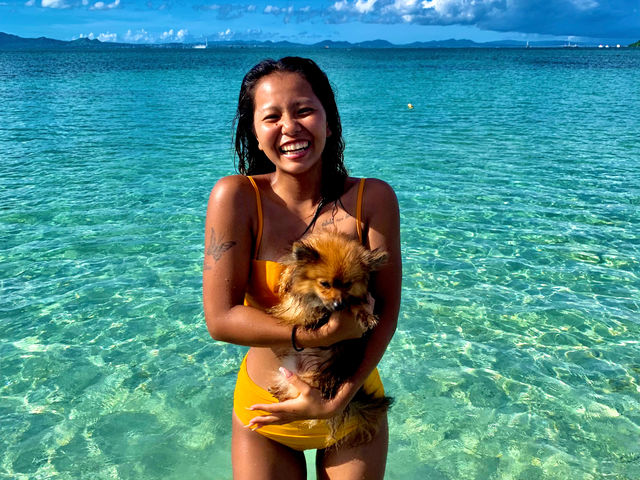 VIBES.OKINAWA-�o�C�u�X�I�L�i��-
