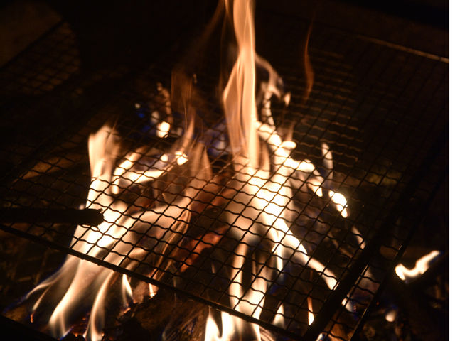 �������� camp&������