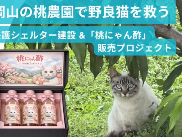 �_���ł͕ی�L�������s���Ă��܂�_MOMONA Peach Farm
