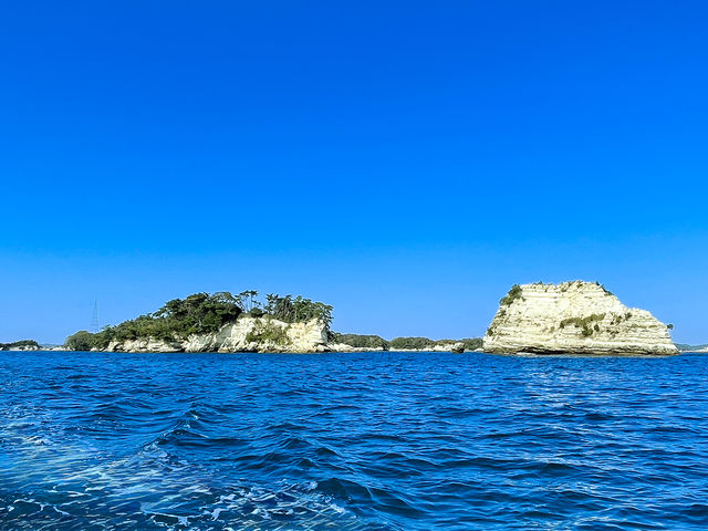 JMRA�{�[�g�h���C�r���O�y�}�����Q�[�g�����`�����z