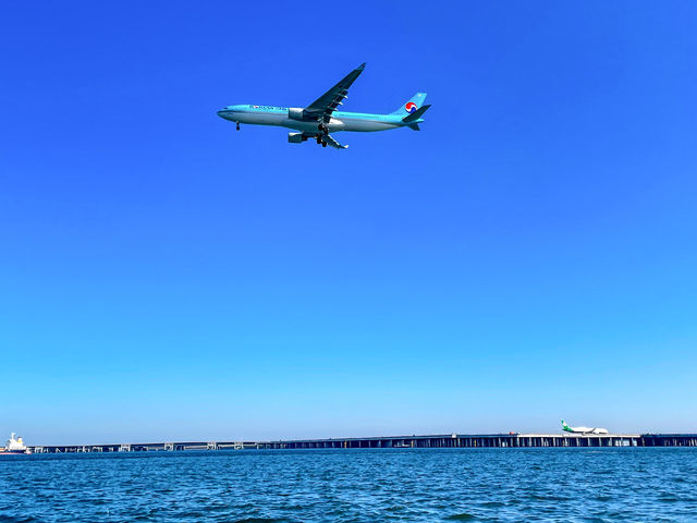 �^�����猩�グ���s�@�́A�z���ȏ�̔��́I�����Ƌ��ɋ��؂�􂭎p�ɁA�������������B����ȂɊԋ߂Ō�����Ȃ�āA�ō��̑̌��ł����I_JMRA�{�[�g�h���C�r���O �y�H�c������`�l���{�z