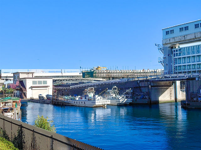 �ڂ̑O�ɂ��т��鐅��B���悢��o���̎�������A���g���Ə����ْ̋������荬����B�`���̎n�܂�ɁA��������܂��I_JMRA�{�[�g�h���C�r���O �y�H�c������`�l���{�z