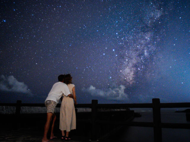 �C�P�} �A�C�����h