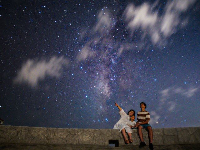 �C�P�} �A�C�����h