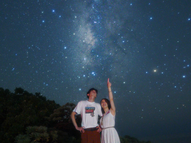 �C�P�} �A�C�����h