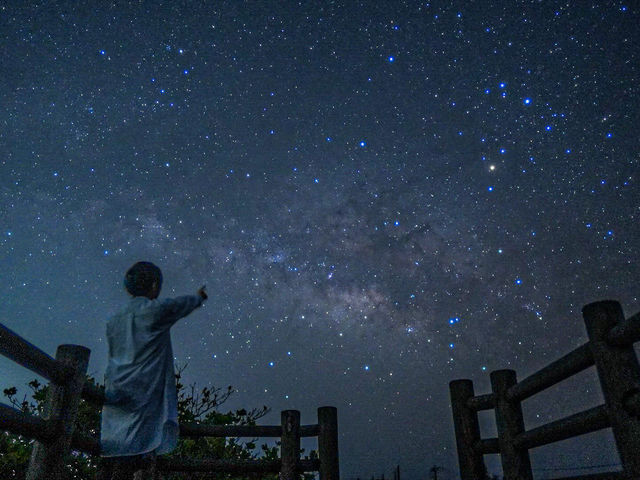 �C�P�} �A�C�����h