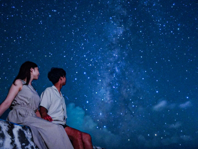 �C�P�} �A�C�����h