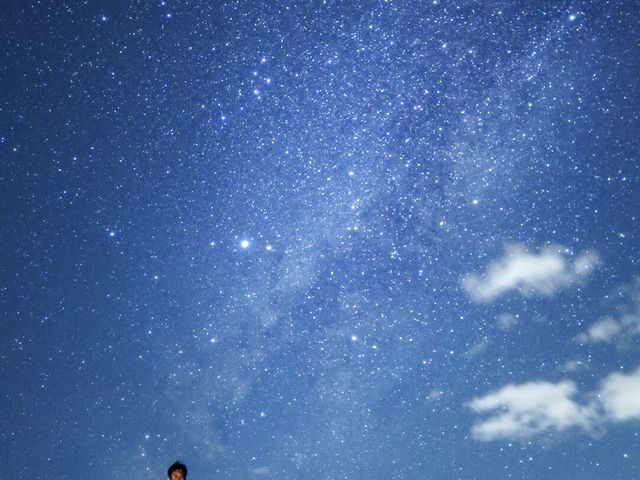 �C�P�} �A�C�����h