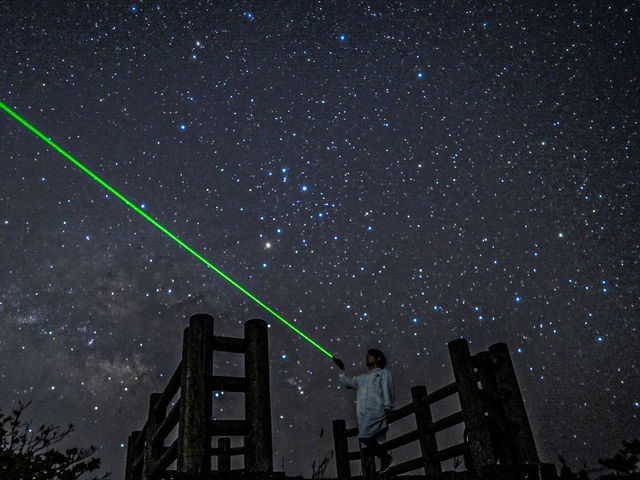 �C�P�} �A�C�����h