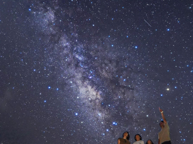 �C�P�} �A�C�����h