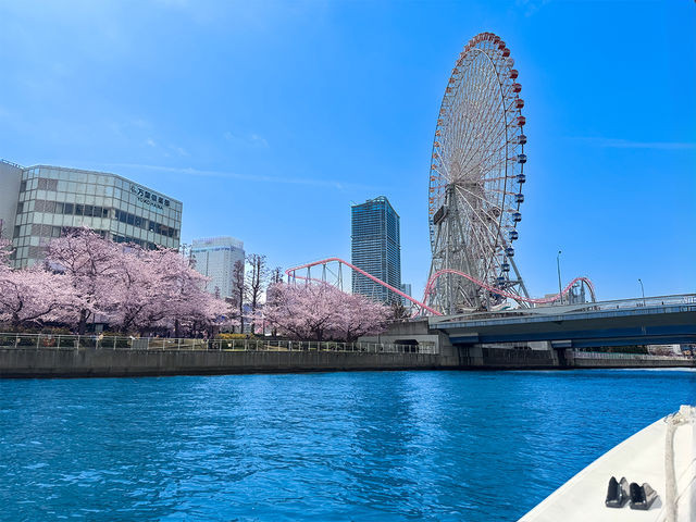 ���ォ�����Ƃ��߁I
�t�ɂ́A��݂ɍ炫�ւ�����{�[�g����ԋ߂Ō��邱�Ƃ��ł��܂��I���ʂɉf������؂͂܂��ɐ�i�B�C��Ȃ�ł͂́A�ґ�ȃN���[�Y�ցI_JMRA�{�[�g�h���C�r���O �y���l�x�C�T�C�h�}���[�i�`�݂ȂƂ݂炢�z