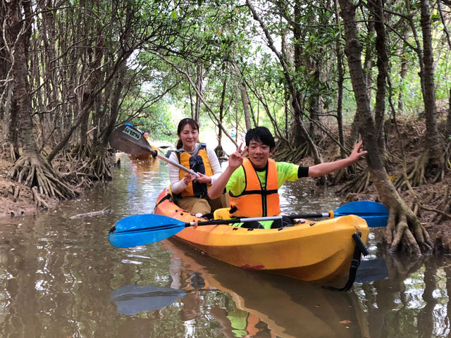 eqŊy߂̌łB
nKChē܂̂ňSĂCB_΂`