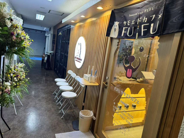 FUFU �T���G�h�J�t�F�r�ܓ����X