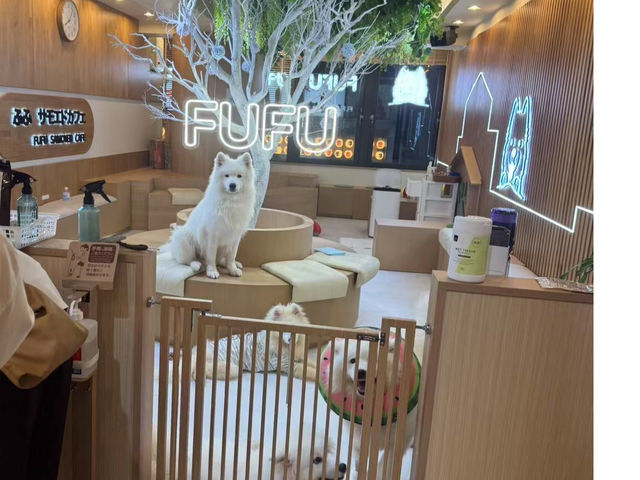 FUFU �T���G�h�J�t�F�r�ܓ����X