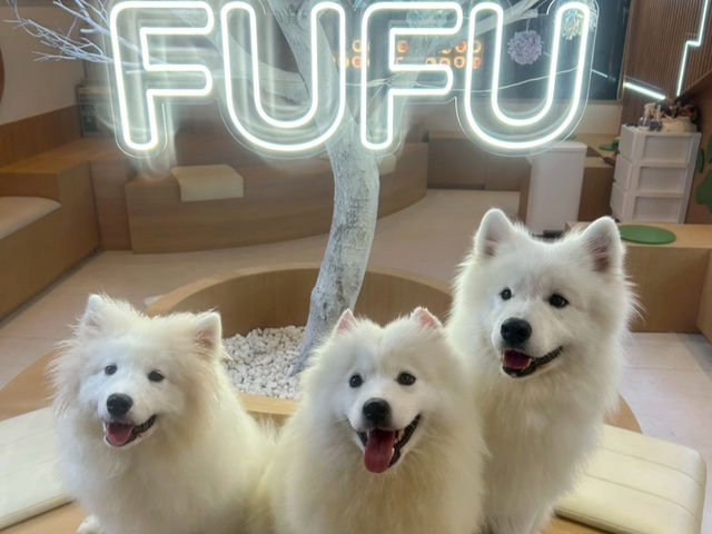 FUFU �T���G�h�J�t�F�r�ܓ����X