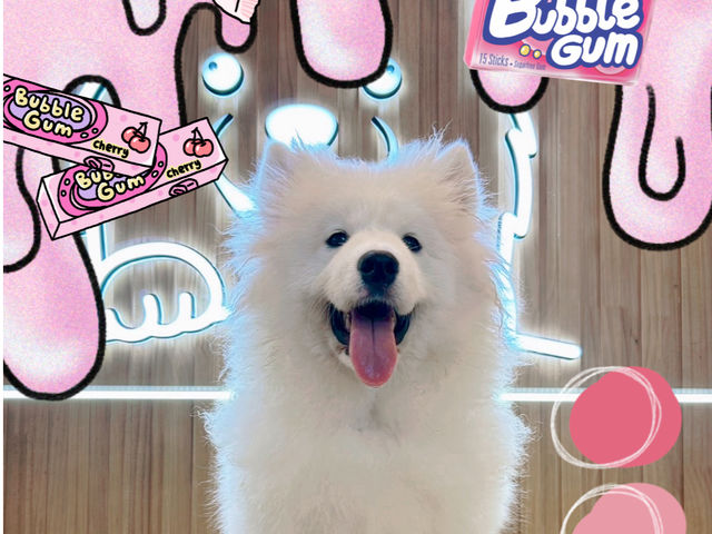 FUFU �T���G�h�J�t�F�r�ܓ����X