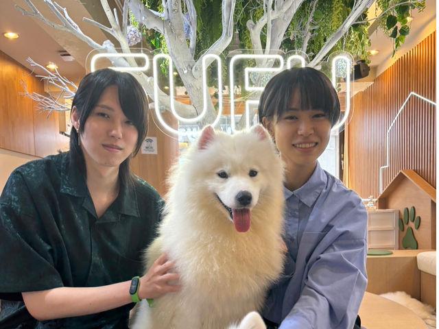 FUFU �T���G�h�J�t�F�r�ܓ����X