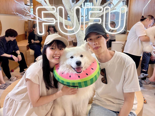 FUFU �T���G�h�J�t�F�r�ܓ����X