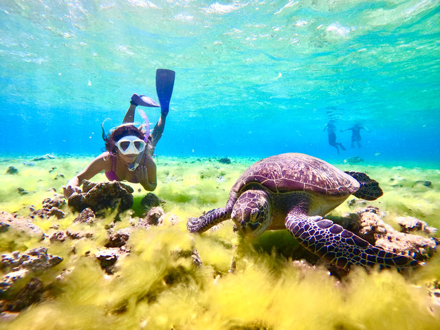 ���\���̊C�̐l�CNo.1�X�|�b�g�w�o���X���x�B�������̂ݎp��������T���S�̃J�P�����W�܂��ďo������Ղ̓��ł��B���̎���ł̃V���m�[�P�����O�̓E�~�K��������99%_�I�A�[�Y�}�����\��