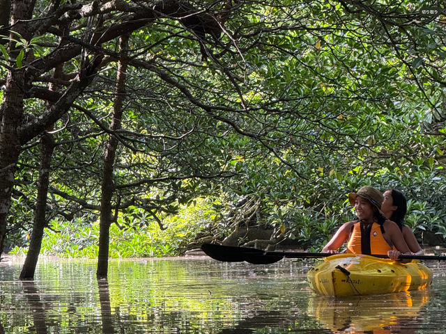 �ؘR����̒��̃}���O���[�u�J���b�N�B�N�����Ȃ��Î�̒����J���b�N�Ői�݂܂��B���\���ɗ�����O���Ȃ��A�N�e�B�r�e�B�̈�ł��B_�I�A�[�Y�}�����\��