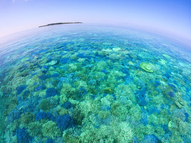 ��ʂɍL����}�X��B�g�ЂƂȂ��x�^�␅�ʂƒ��������΂���Ȍi�F�������܂��B
�o���X�����ӂ̃V���m�[�P�����O�|�C���g�͔��d�R�n���ł��s�J�C�`�ł��I_�I�A�[�Y�}�����\��