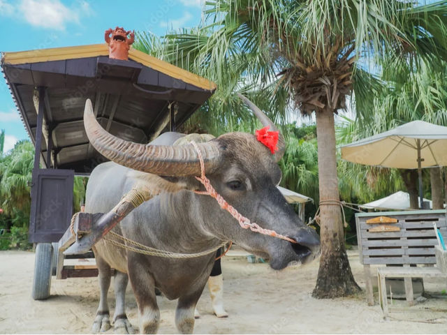 ���\���ɗ�����O���Ȃ��ό��X�|�b�g�w�R�z�������ό��x�B�I�A�[�Y�}�����\���̃c�A�[�ōs���Ζʓ|�Ȉړ��̎�z���s�v�ł��B���������������c�A�[�����Ɋ܂܂�Ă��܂�_�I�A�[�Y�}�����\��