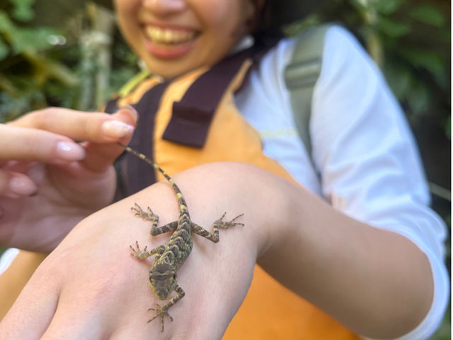 �c�A�[���ɂ͐��\���Ȃ�ł͂̐������ɂ��o��܂��I�L�m�{���g�J�Q�ƃc�[�V���b�g(^^)_�I�A�[�Y�}�����\��