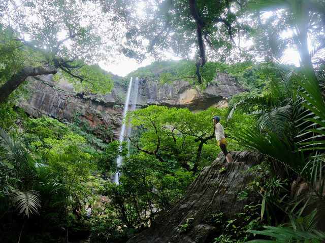 �ʃA���O���̃s�i�C�T�[���̑�I�f���X�|�b�g�������ς��ł��B_�I�A�[�Y�}�����\��