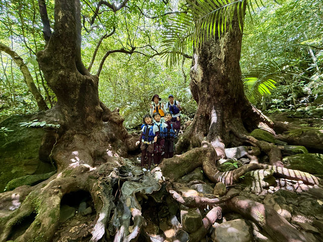 �s�i�C�T�[���̑�ւ̓����͐��\���Ȃ�ł͂̑厩�R���ÏW����Ă��܂��B�A�J�M�̋��؂�1���I_�I�A�[�Y�}�����\��