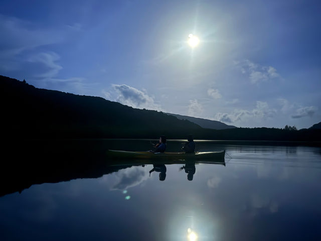 �T�K���o�i�c�A�[�͔��Â���������̒��X�^�[�g�B���̌i�F���͑��N�������l�����̓����ł��B_�I�A�[�Y�}�����\��