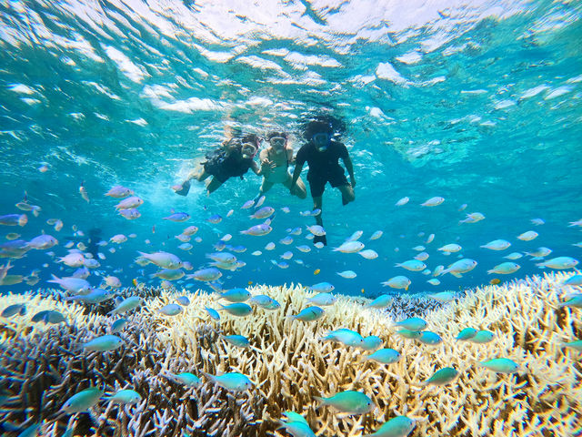 �o���X�����ӃV���m�[�P�����O�I�f�o�X�Y���_�C�̗����͈����I_�I�A�[�Y�}�����\��