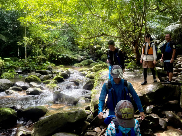 �s�i�C�T�[���̑�ւ̓����B�܂�ł��̂̂��P�̐��E�ɓ����Ă������̂悤�Ȍi�F�ł��B_�I�A�[�Y�}�����\��