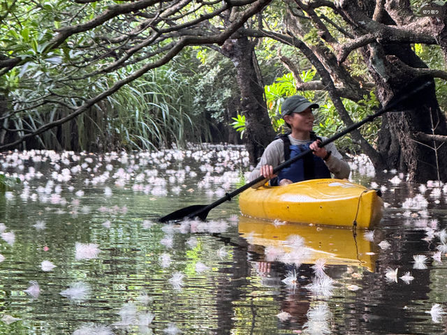 �����T�K���o�i�c�A�[�̗l�q�ł��B_�I�A�[�Y�}�����\��