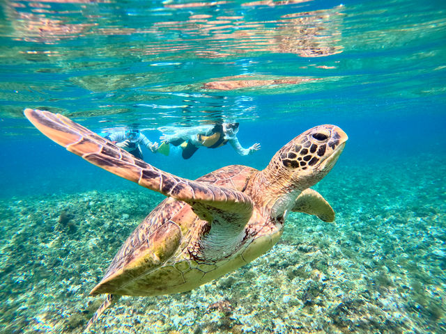 �A�I�E�~�K���̌ċz2�b�O_�I�A�[�Y�}�����\��