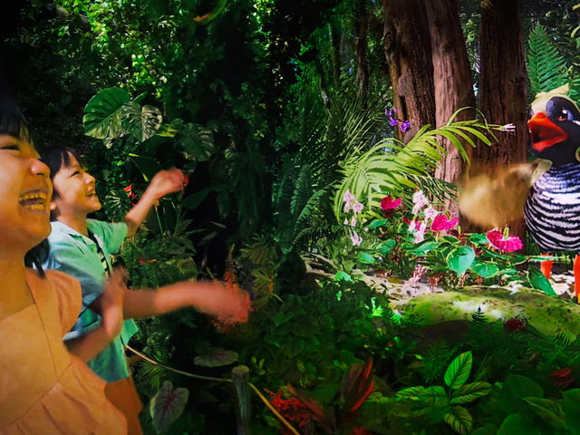 JUNGLIA OKINAWA(�W�����O���A����)