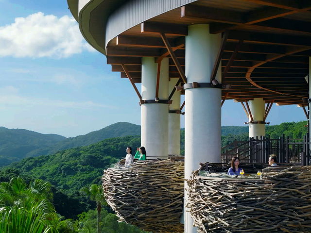 JUNGLIA OKINAWA(�W�����O���A����)