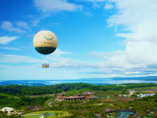 JUNGLIA OKINAWA(�W�����O���A����)