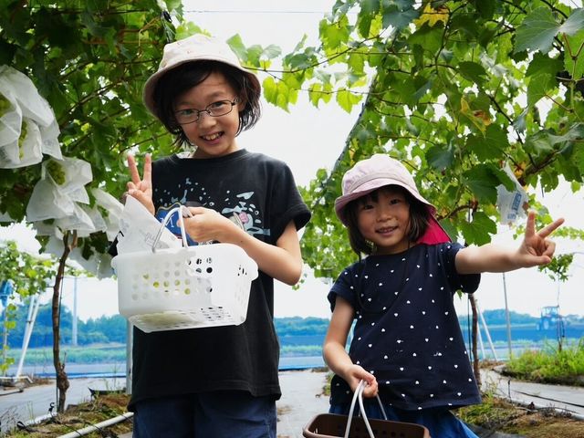 �A�O���[���p�[�N �F�s�{�Ԃǂ��̓m