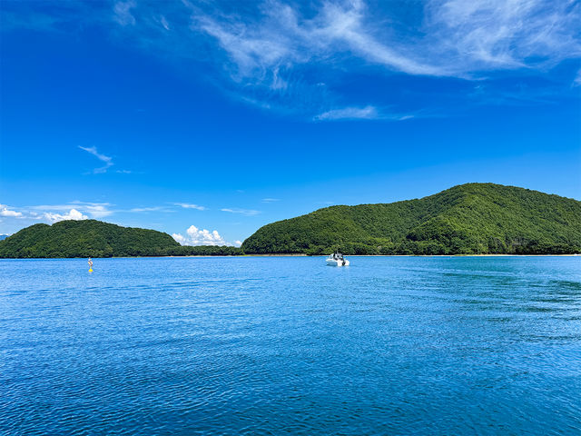 �X�ьΔȂ̖������
�S���ŗB��I�X�Ɉ͂܂ꂽ�΂ŁA�S������镗�������Ȃ��瑀�D���w�ԓ��ʂȑ̌��B�厩�R�̒��ŁA���₩�Ȑ��ʂŎ����̎��Ԃ����Ȃ��ɁB_JMRA�{�[�g�h���C�r���O �y���c��΁z