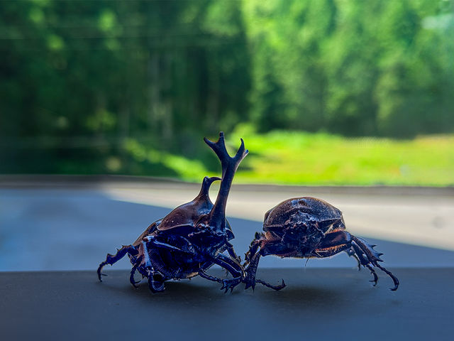 ��������͑��D���K�Ő���ցA���q����͐X�ō����̏W�I������̎��R�Ɉ͂܂ꂽ���c��΂ŁA�Ƒ��݂�Ȃ��y���߂���ʂȈ�����B_JMRA�{�[�g�h���C�r���O �y���c��΁z