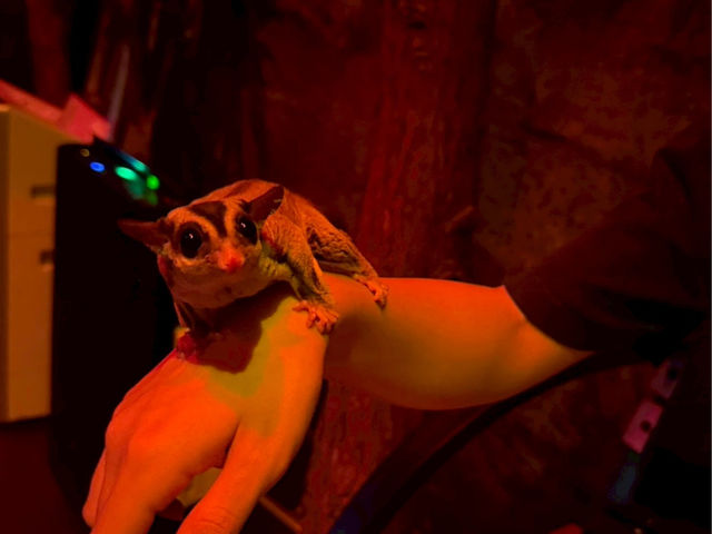 �������K����ɏ���Ă����I_�q�~���ăJ�t�F/GaraMomoCAFE ~�K�������J�t�F~