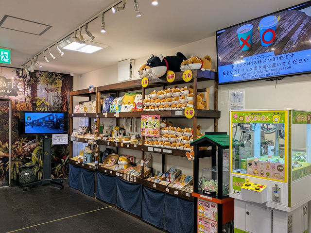 �O�b�Y���̔����Ă܂��I���y�Y�ɂǂ����I_�q�~���ăJ�t�F/GaraMomoCAFE ~�K�������J�t�F~