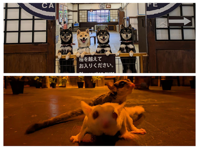 q~ăJtF/GaraMomoCAFE ~KJtF~̎ʐ^1