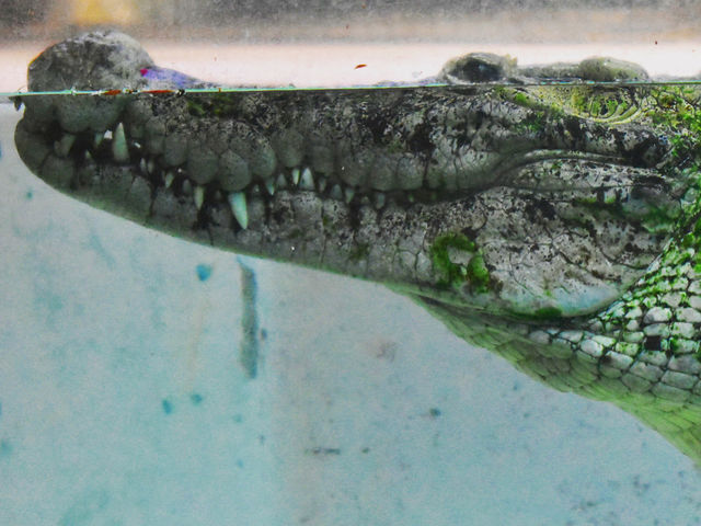 Moiij߂IMoiijŊy񂾌ɁAς肵܂񂩁H_ӂ̓h ԖJ