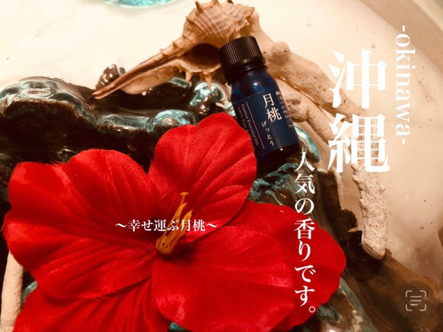 /K^Ԍ_N[[V[܂ق̎ ߔeX