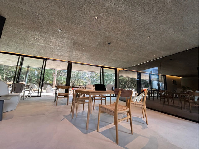 �L�X�������r���O�ł����������������܂��B_���̉�