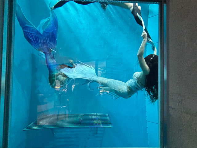 �}�[���C�h�X�C�}�[�̕��B������ꂽ���̗l�q_���̉�