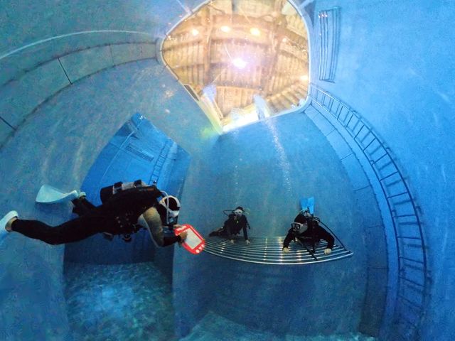 {̐[8m̃v[łscuba free  skin edivingy߂܂B(v\)_̉