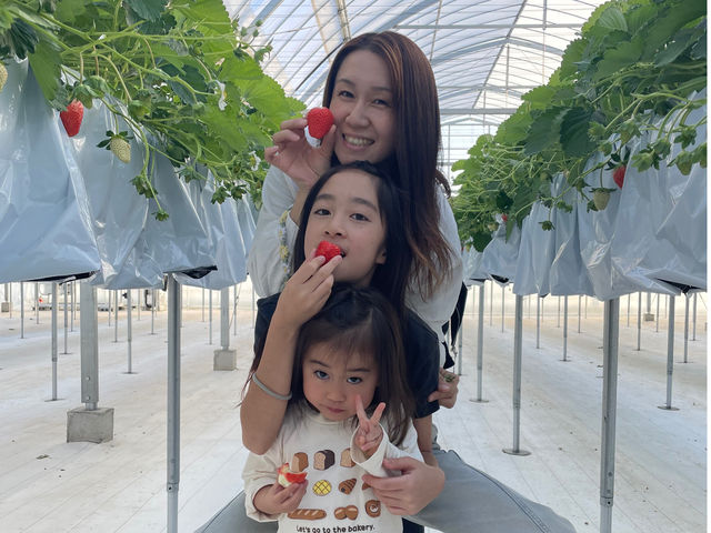 �܂�Ղ� ��������