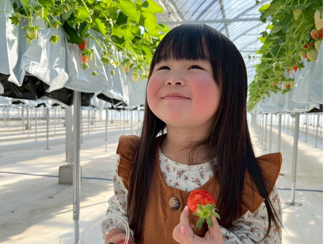 �܂�Ղ� ��������